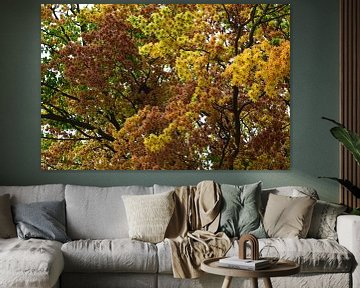 Blüte im bunten Baum, gelb orange grün, im Sonnenschein von Studio LE-gals