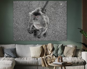 portrait of a monkey by Atelier Liesjes