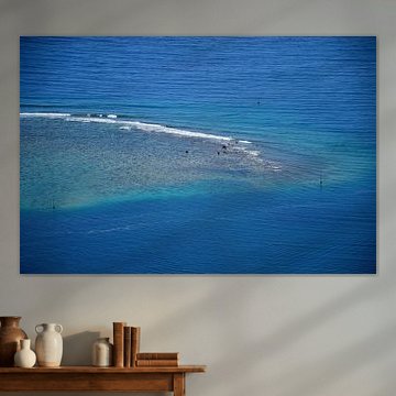 Reef close-up by Frank's Awesome Travels