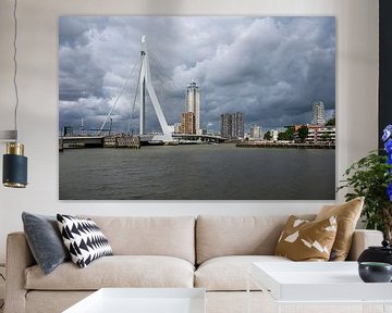 The Nieuwe Maas and Erasmus Bridge by Werner Lerooy