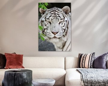 Portrait de tigre blanc sur Esther van Engen