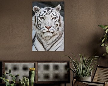 Le tigre blanc sur Esther van Engen