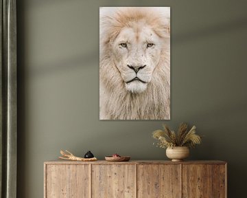 Le Lion blanc sur Esther van Engen