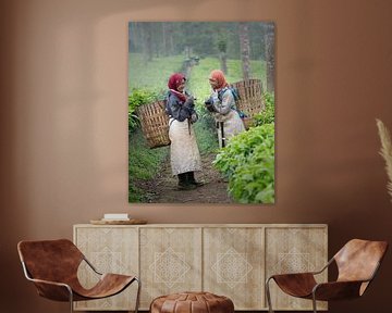 Smiling women in the tea fields of Wonosobo