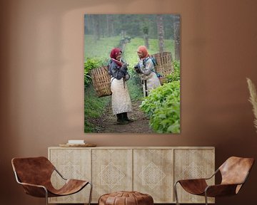 Femmes souriantes dans les champs de thé de Wonosobo