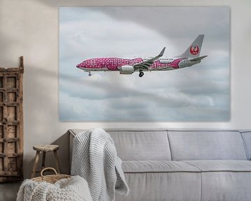 Boeing 737 de Japan Transocean Air avec décoration de requins-baleines. sur Jaap van den Berg