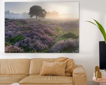 Heathlands in the Mandefjild by Rudy Wagenaar