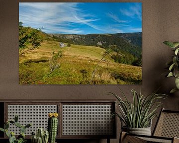 Paysage dans les Vosges sur Tanja Voigt