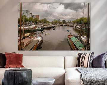 Piushaven 100 jaar