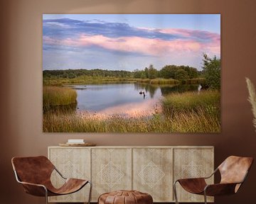 Drentse fen under beautiful clouds by KB Design & Photography (Karen Brouwer)