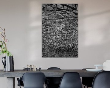 Abstract van een palmboom stam (zwart-wit versie) van Cor de Hamer