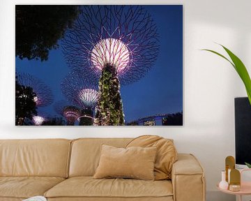 Marina Bay Sands and Supertrees by night