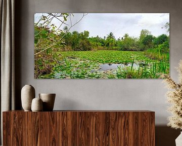 panorama of a tropical pond by Atelier Liesjes