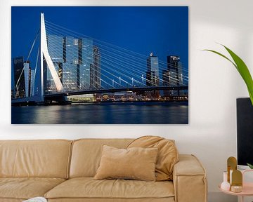 Erasmusbrug van Willem Vernes