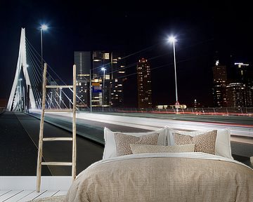 Erasmusbrug van Willem Vernes