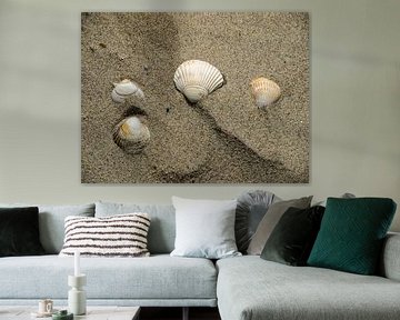 schelpen in het zand van Martijn Tilroe