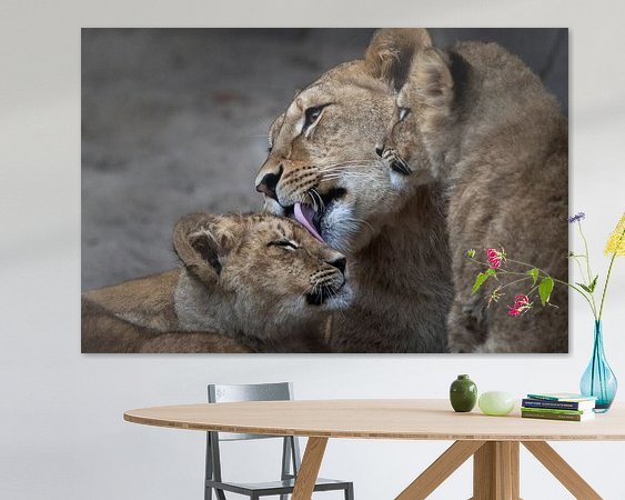 Aperçu de la chambre