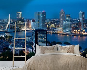 Skyline Rotterdam van Willem Vernes