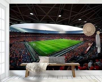 De Kuip van Willem Vernes