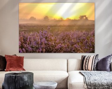 Sonnenaufgang in einer Heidelandschaft mit blühenden Heidekrautpflanzen von Sjoerd van der Wal Fotografie