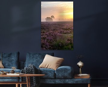 Lever de soleil dans un paysage de landes avec des bruyères en fleurs sur Sjoerd van der Wal Photographie