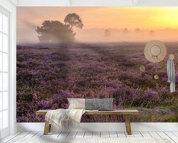 Sunrise in a heathland landscape with blooming Heather plants by Sjoerd van der Wal Photography