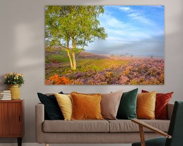 Blooming Heather plants in Heathland landscape with birch trees by Sjoerd van der Wal Photography