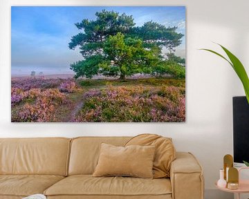 Bruyères en fleurs dans un paysage de bruyère au lever du soleil sur Sjoerd van der Wal Photographie