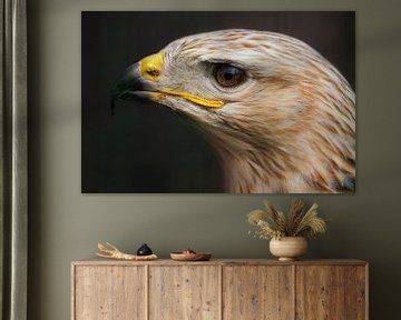 Portret van een arendbuizerd. van Michar Peppenster