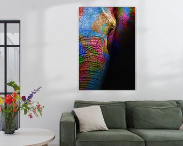 Kleurrijke olifant van Mutschekiebchen