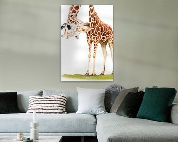 Funny Giraffe von Mutschekiebchen