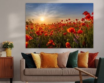 Coucher de soleil avec de magnifiques coquelicots sur Melanie Viola