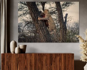 Leopard hunting in the Namibian wilderness by Patrick Groß