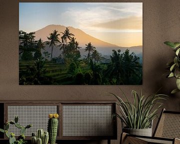 Gunung Agung vanuit Sidemen - zonsopkomst