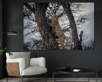 Luipaard na jacht Namibië, Afrika van Patrick Groß