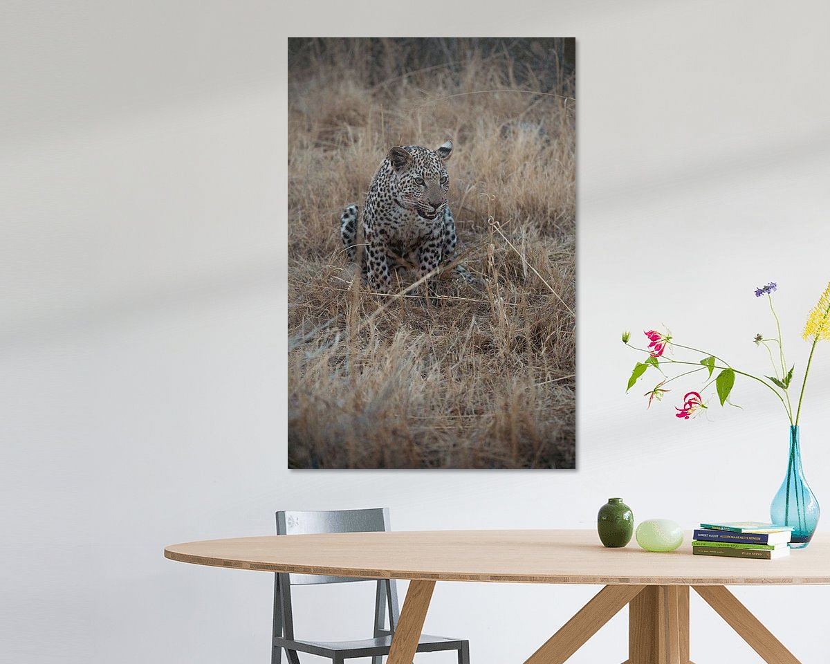 Raumvorschau