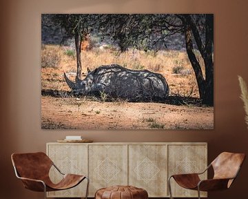 African rhinoceros by Patrick Groß