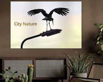 City Nature