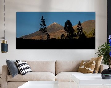 Vulkanisch landschap El Teide by Hannie Bom