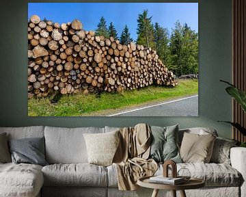 Holz gestapelt aus dem Thüringer Wald von Animaflora PicsStock