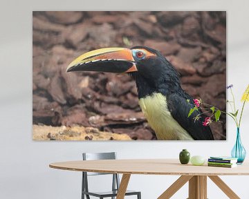 Dier en Natuur van Lennart Mans