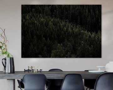 Row of trees in Norway by Koen Lipman
