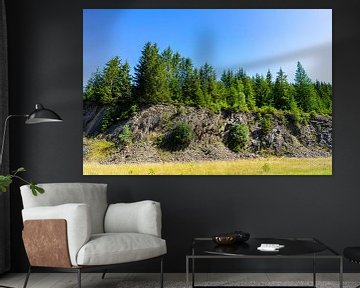 Forêt avec rochers dans la forêt de Thuringe sur Animaflora PicsStock