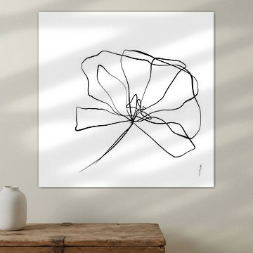 Mohn einzeilige Zeichnung in Serie Teil 1