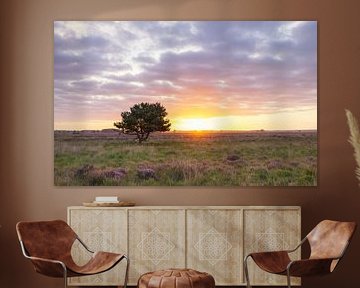 Sunrise Dwingelderveld (Netherlands) by Marcel Kerdijk