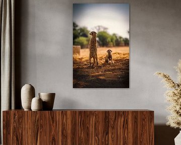 Erdmännchen in Namibia, Afrika von Patrick Groß