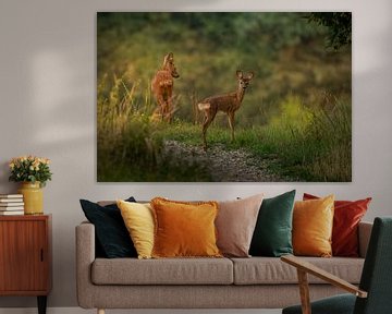 Deer with calf in the golden light of the rising sun by John van de Gazelle fotografie