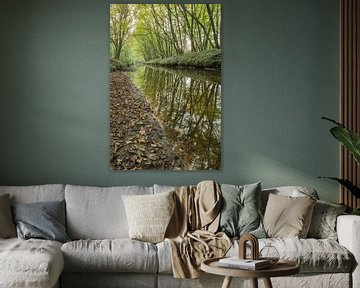 Protected Brook near Winterswijk in the East of the Netherlands in the fall. by Tonko Oosterink