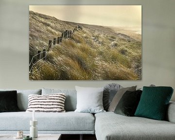 Waving dune grass. by Peter van Rijn