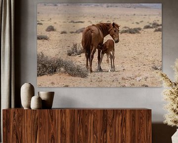 Chevaux sauvages à Garub en Namibie, Afrique sur Patrick Groß